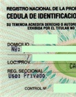 Cédula verde del vehículo
