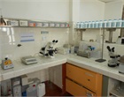 Laboratorio